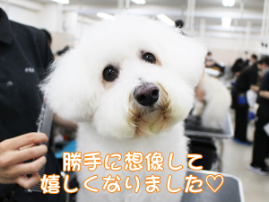 ☆カメラ目線特集☆